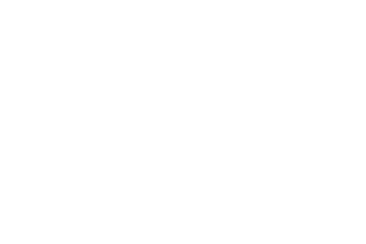 Roma Auto Polish Logo